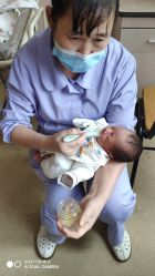 -复旦大学附属妇产科医院(杨浦院区)