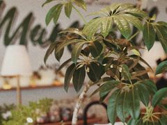 -翠贝卡&Mama Kelly Brunch Coffee(河西店)