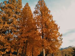 -昆嵛山石门里景区