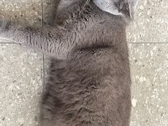 -NOTOOCAFE不二咖啡馆(岩前店)