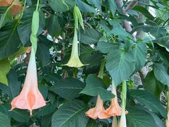 -北京植物园-展览温室