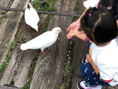 -哈尔滨北方森林动物园