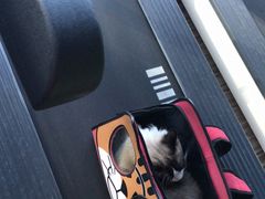 -LikingFit24小时健身•普拉提(张江店)