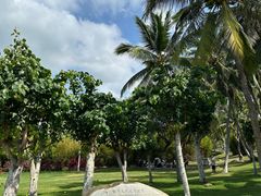 -三亚南山文化旅游区