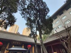 -罔极寺