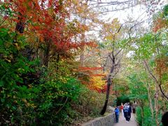 -崂山九水游览区