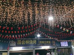 -杨合林啊兰烤鱼