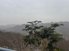 -圣莲山风景区