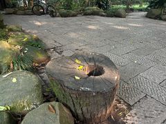 -杭州植物园