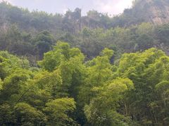 -华蓥山天意谷景区