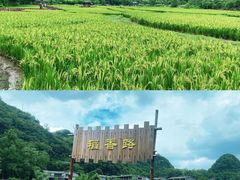 -高荡千年布依古寨旅游景区