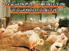 -北京动物园