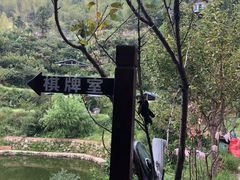 -长沙黑麋峰国家森林公园