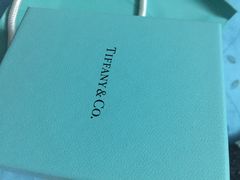 -Tiffany & Co.蒂芙尼
(武汉武商MALL店)