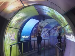 -房山世界地质公园博物馆