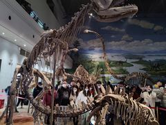 -自贡恐龙博物馆