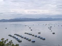 -抚仙湖禄充风景区