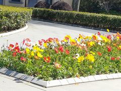 -徐家汇源景区-衡山公园