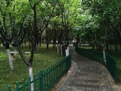 -西安市长乐公园