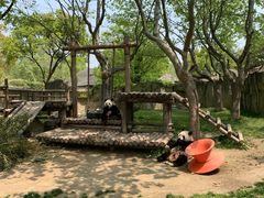 -上海野生动物园