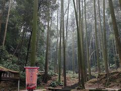 -凤栖山