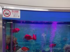 -雅悦齿科(顾村公园店)