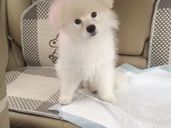 -东方之珠KTV娱乐超市(河北店)