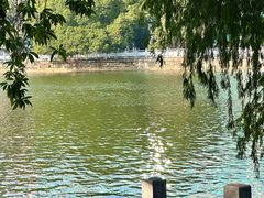 -东山湖公园
