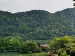 -龙井村