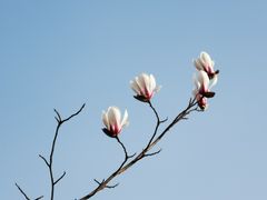 -广富林郊野公园