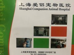 -爱侣宠医·鹦鹉专科·小型哺乳类·异宠专科(灵石路店)