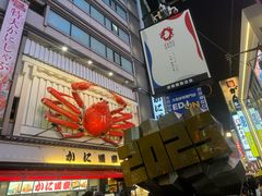 -蟹道乐(道顿堀本店)