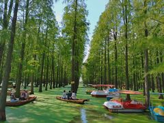 -渌洋湖湿地公园