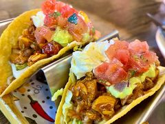 墨西哥鸡肉塔克-Famous肥猫墨西哥音乐餐吧(五棵松华熙LIVE店)