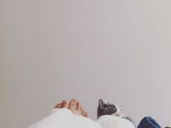 -猫大福·Fortune Cat猫舍(百子湾店)