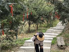 -东明山森林公园