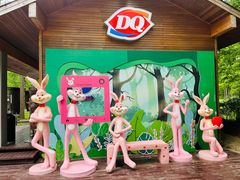 -黄海国家森林公园