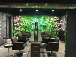 -藤野造型·专业烫染店