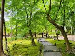 -西芳寺(苔寺)