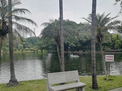-晓港公园