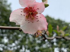 -白塘生态植物园