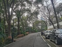 -北极阁公园