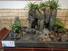 -迎泽公园