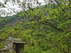 -北京山里寒舍度假酒店