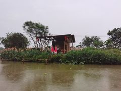 -江门古劳水乡旅游区