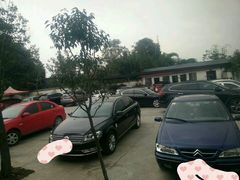-老杨砂锅鱼庄