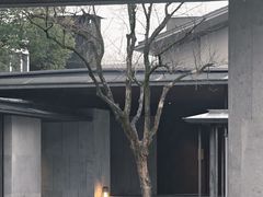 -木守西溪溪隐餐厅