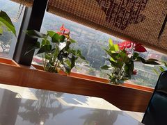 -粤点越有·茶点·粤菜(樵岭国际店)
