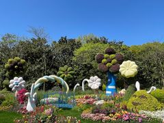 -上海共青森林公园