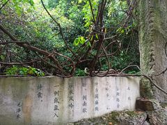-鲁镇